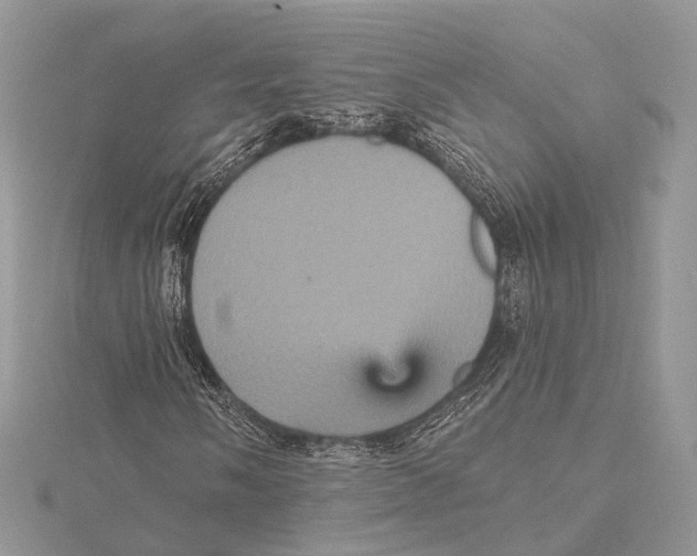 X0000115451058200912021001