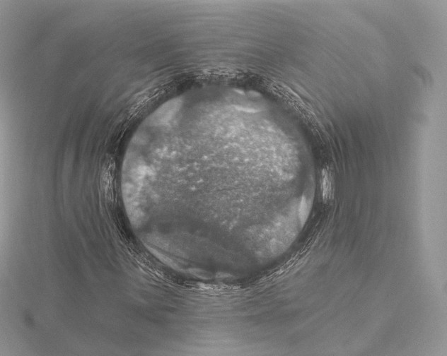 X0000115451059200912021001