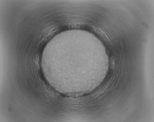 X0000115451060200912021001