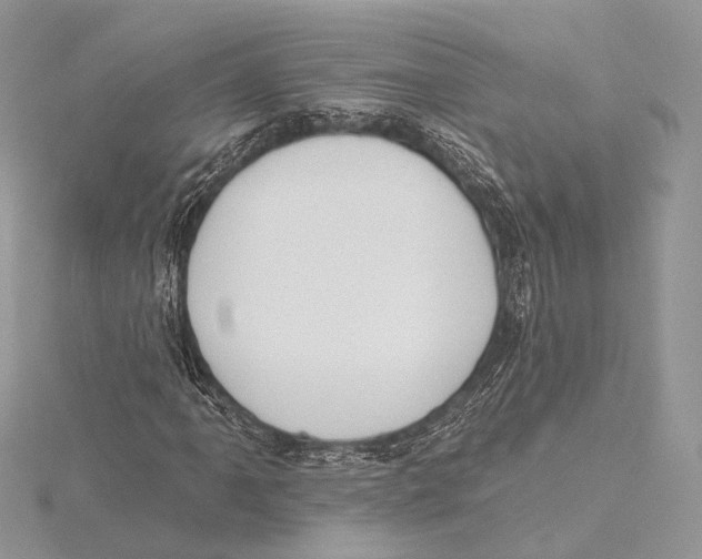 X0000115451061200912021001