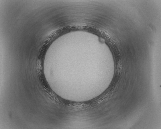 X0000115451062200912021001