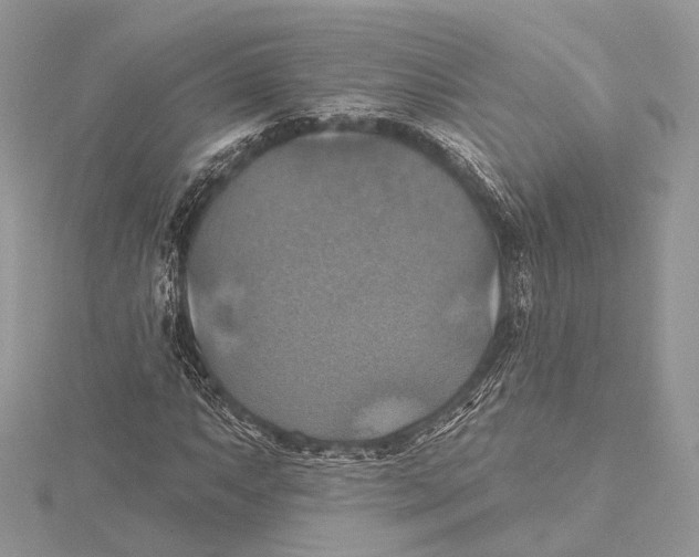 X0000115451063200912021001