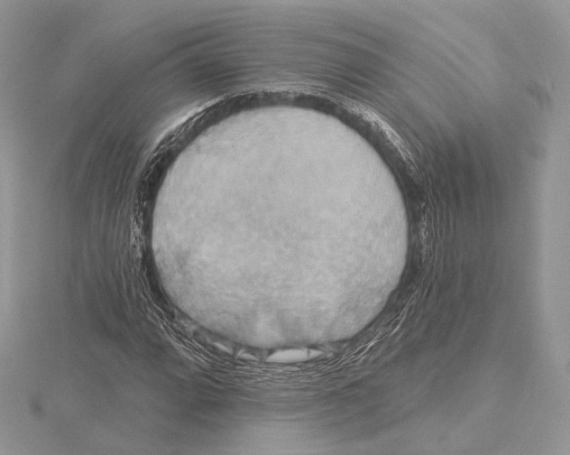 X0000115451064200912021001