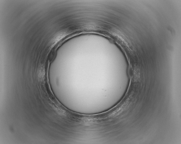 X0000115451065200912021001