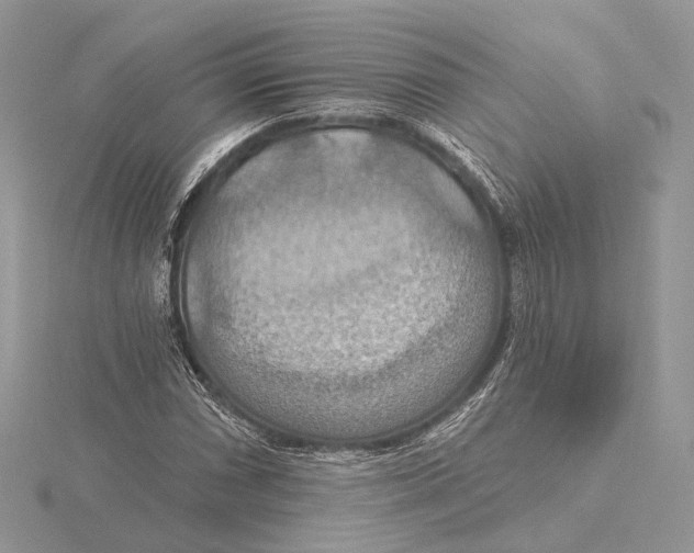 X0000115451066200912021001