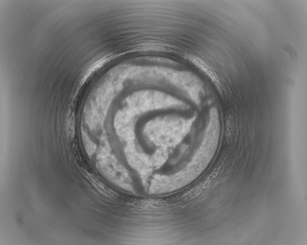 X0000115451067200912021001