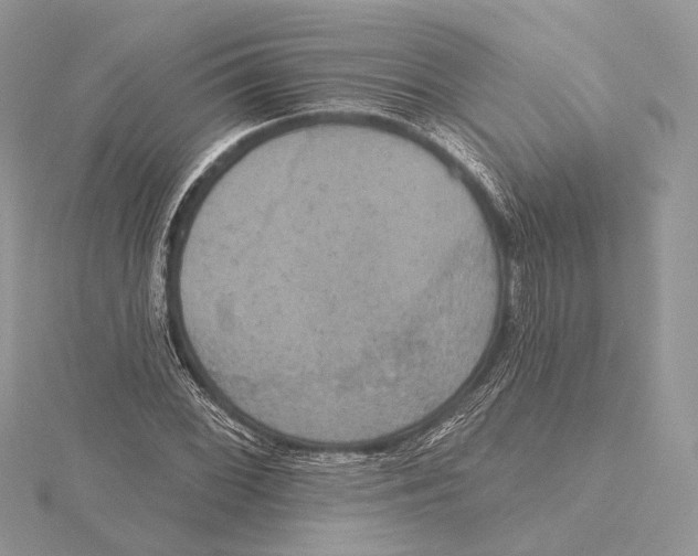 X0000115451068200912021001