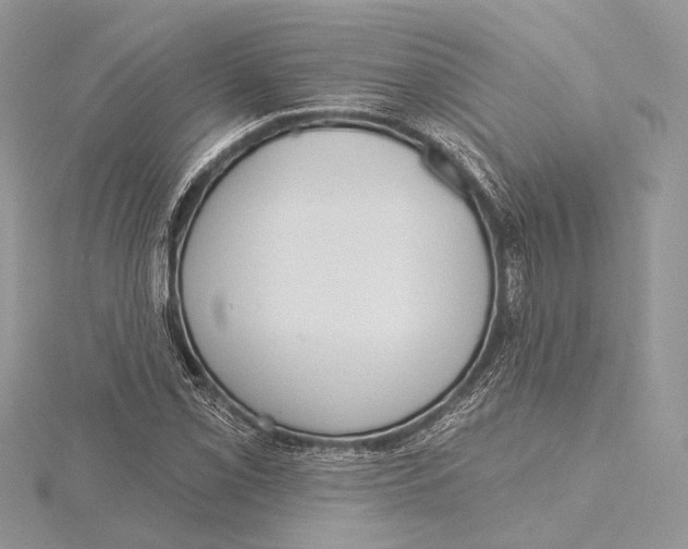 X0000115451069200912021001