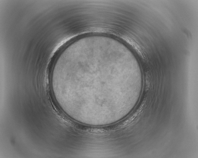 X0000115451070200912021001