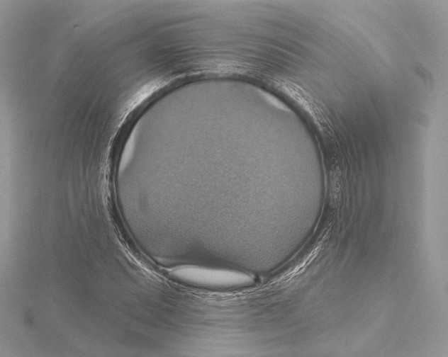 X0000115451071200912021001