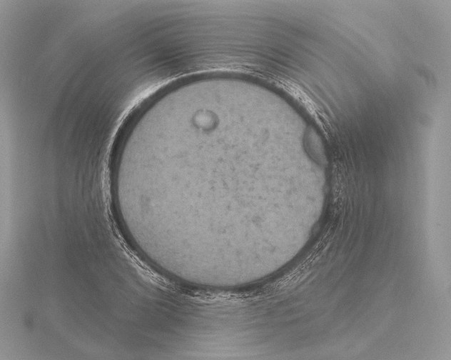 X0000115451072200912021001