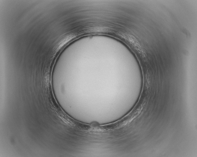 X0000115451073200912021001