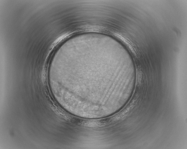 X0000115451074200912021001