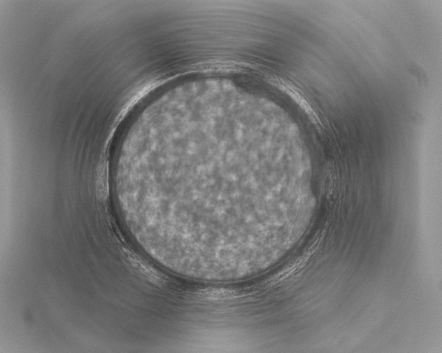 X0000115451075200912021001