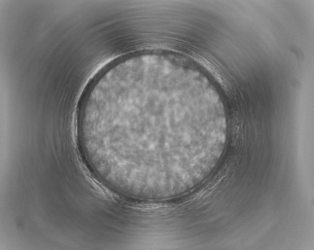 X0000115451076200912021001