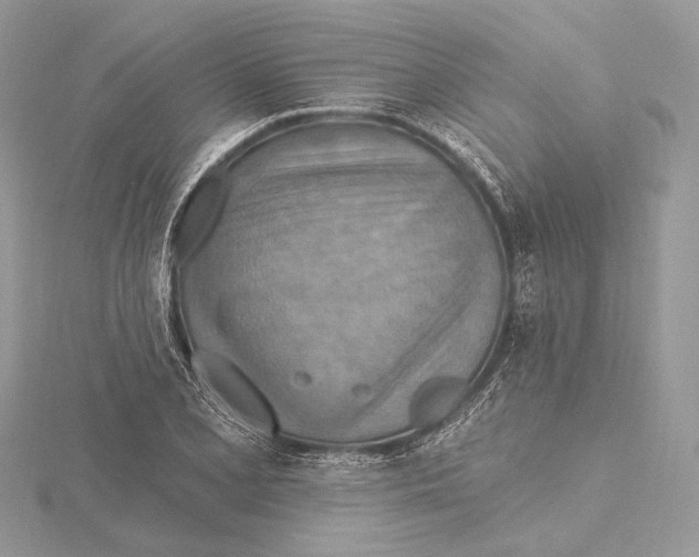 X0000115451077200912021001