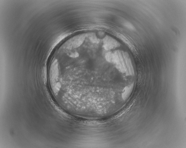 X0000115451079200912021001