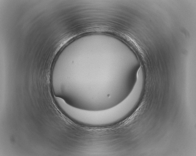 X0000115451081200912021001