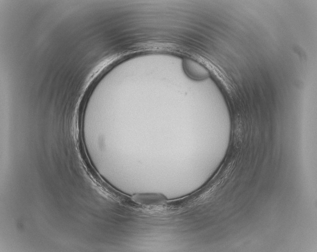 X0000115451082200912021001