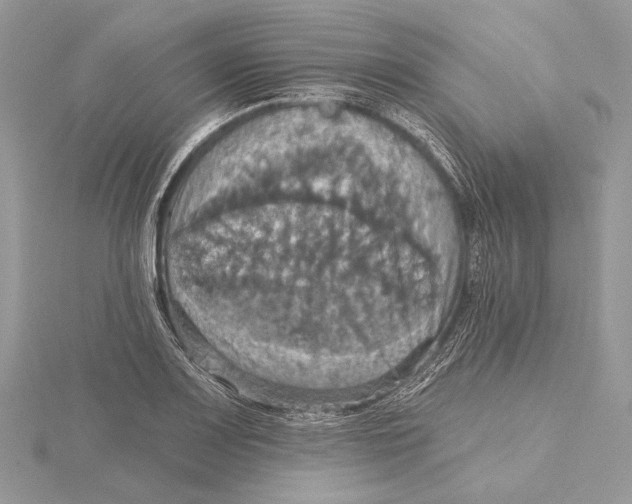 X0000115451083200912021001