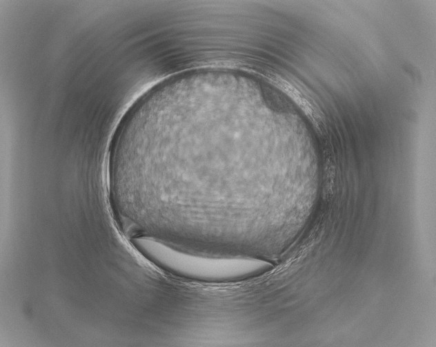 X0000115451084200912021001