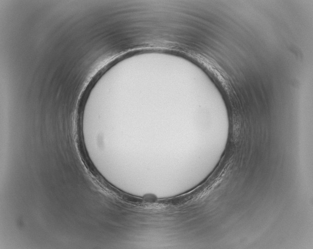 X0000115451085200912021001