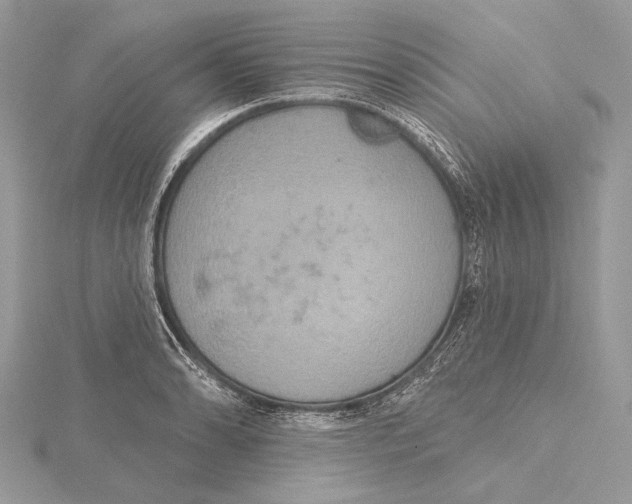 X0000115451086200912021001