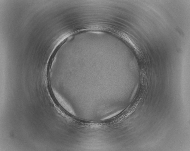 X0000115451087200912021001