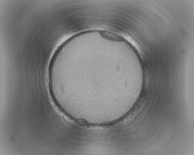 X0000115451088200912021001