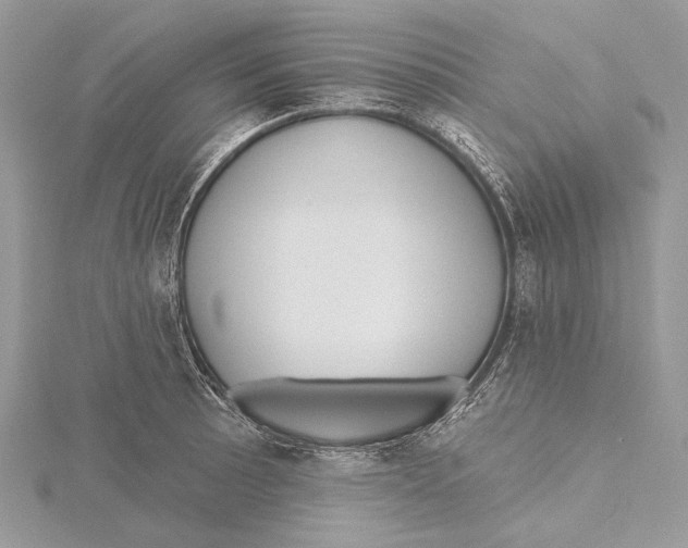 X0000115451089200912021001