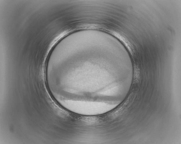 X0000115451090200912021001