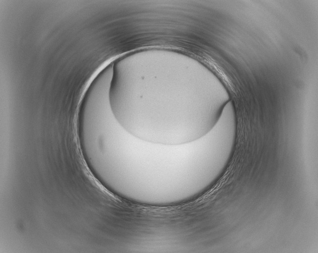 X0000115451092200912021001