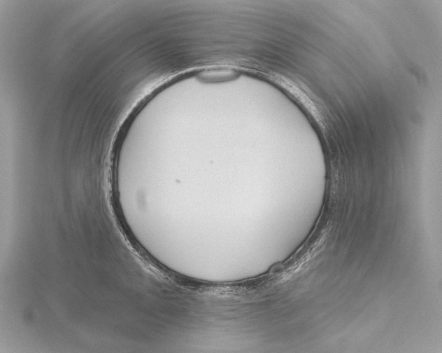 X0000115451093200912021000