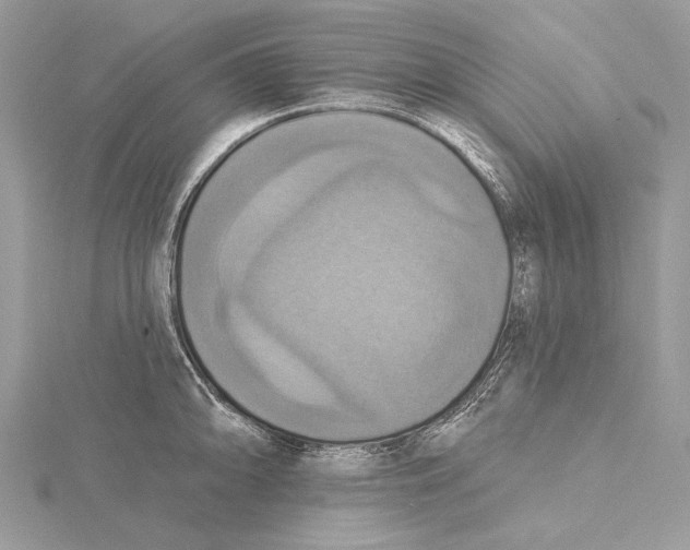 X0000115451094200912021000