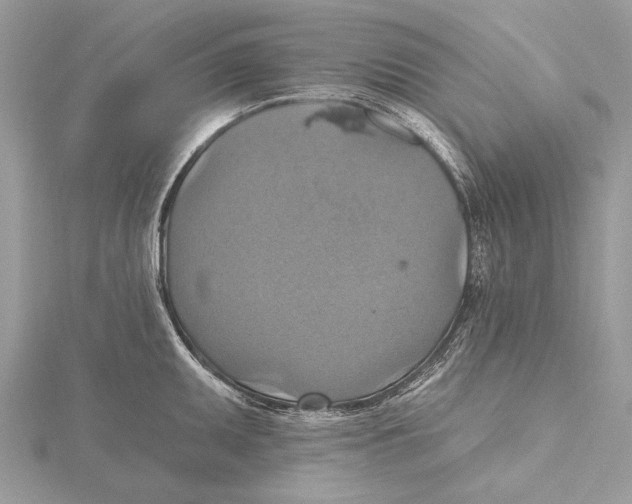 X0000115451095200912021000