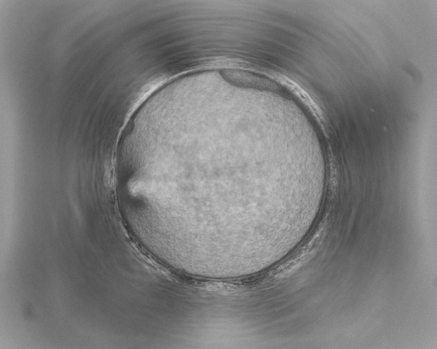 X0000115451097200912021000