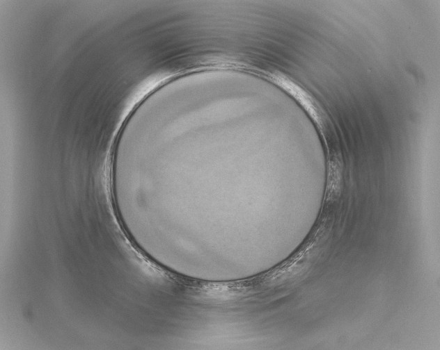 X0000115451098200912021000