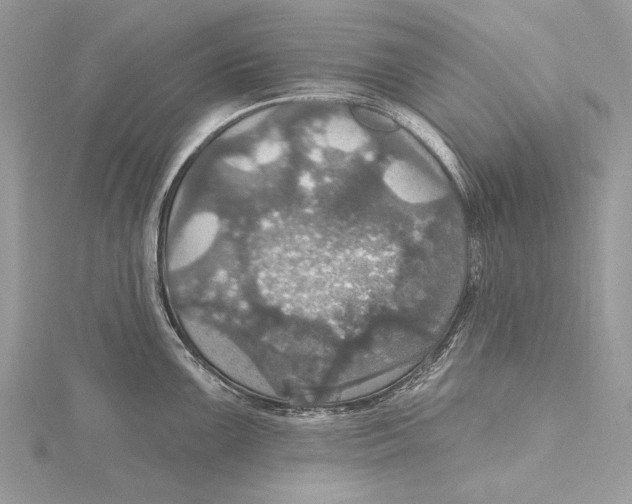 X0000115451099200912021000