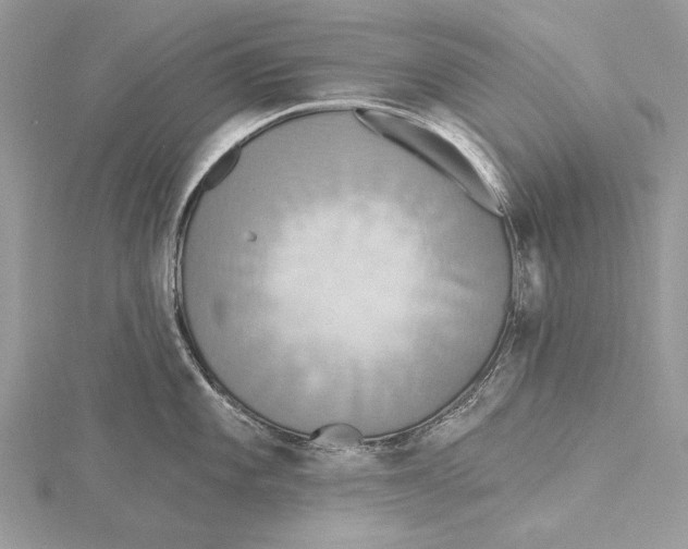 X0000115451101200912021000