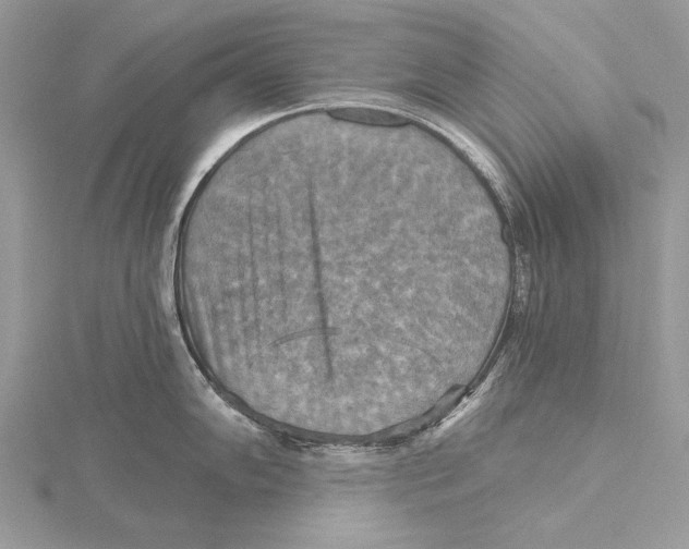 X0000115451102200912021000