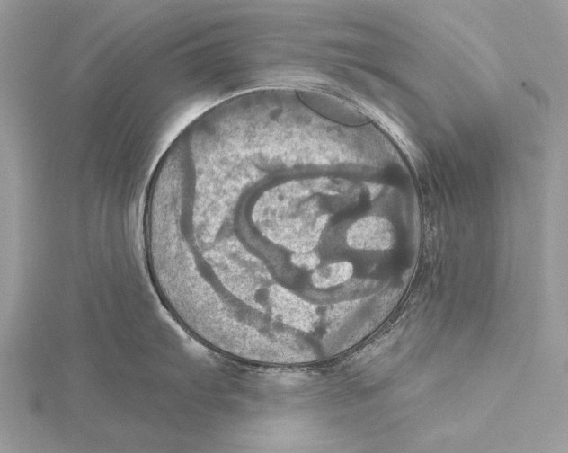 X0000115451103200912021000