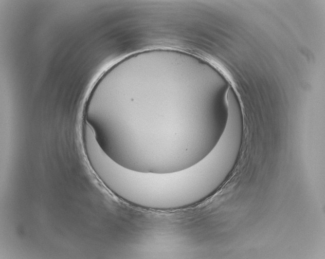 X0000115451104200912021000