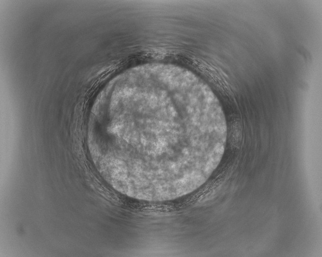 X0000115451105200912021000