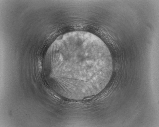 X0000115451106200912021000