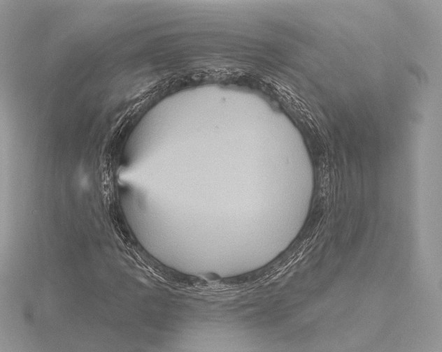 X0000115451109200912021000