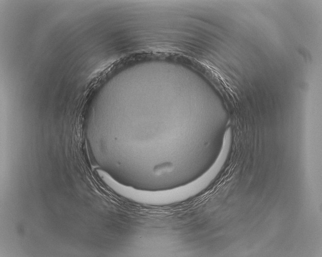 X0000115451110200912021000