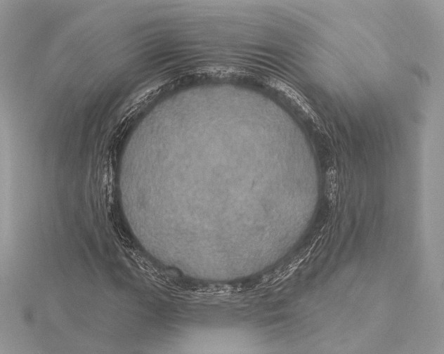 X0000115451111200912021000