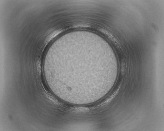 X0000115451113200912021000