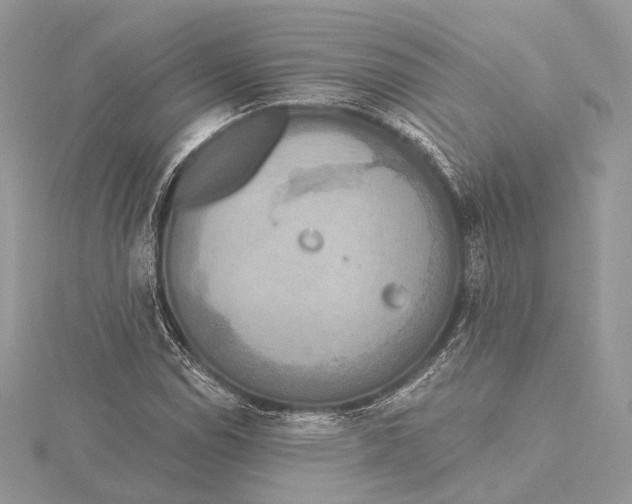 X0000115451114200912021000