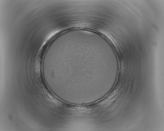 X0000115451115200912021000